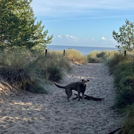 Karlshagen Reet Am Strand Mit Hund מראה חיצוני תמונה