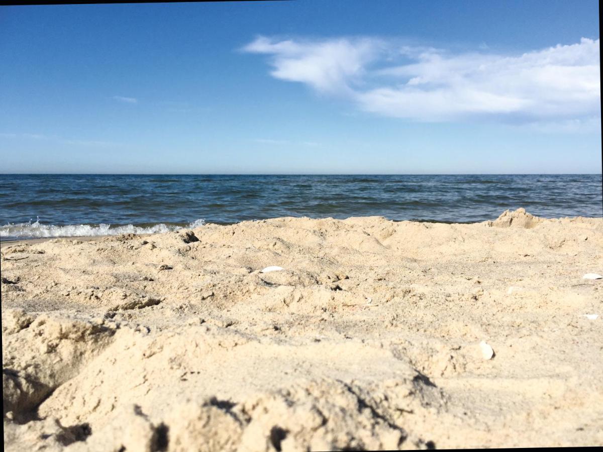 Karlshagen Reet Am Strand Mit Hund מראה חיצוני תמונה