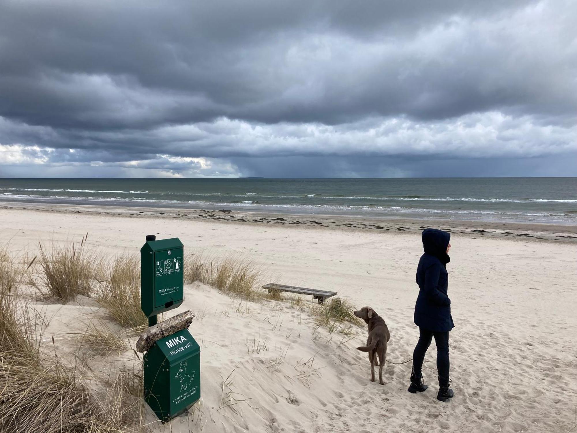 Karlshagen Reet Am Strand Mit Hund מראה חיצוני תמונה
